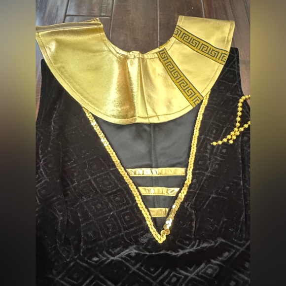Spirit Black and Gold Exquisite Cleopatra Costume + Extras - Picture 6 of 6